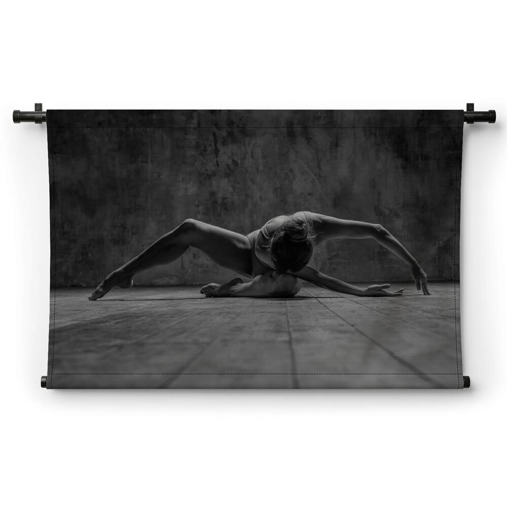 Prachtige ballerina
