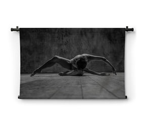 Prachtige ballerina