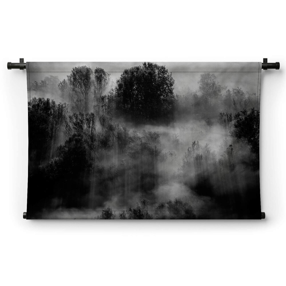Bomen in de mist in zwart-wit