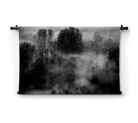 Bomen in de mist in zwart-wit