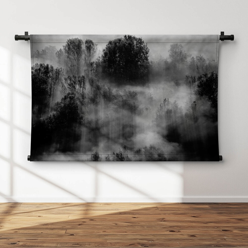 Bomen in de mist in zwart-wit