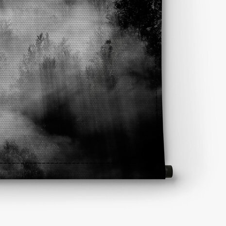 Bomen in de mist in zwart-wit