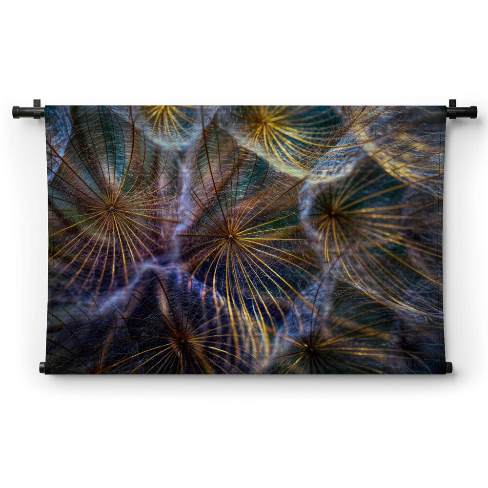 Kleurrijk vuurwerk van bloemen