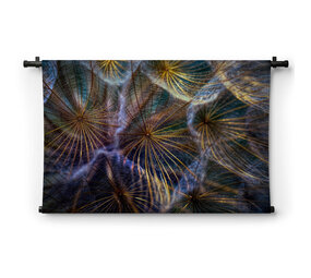 Kleurrijk vuurwerk van bloemen