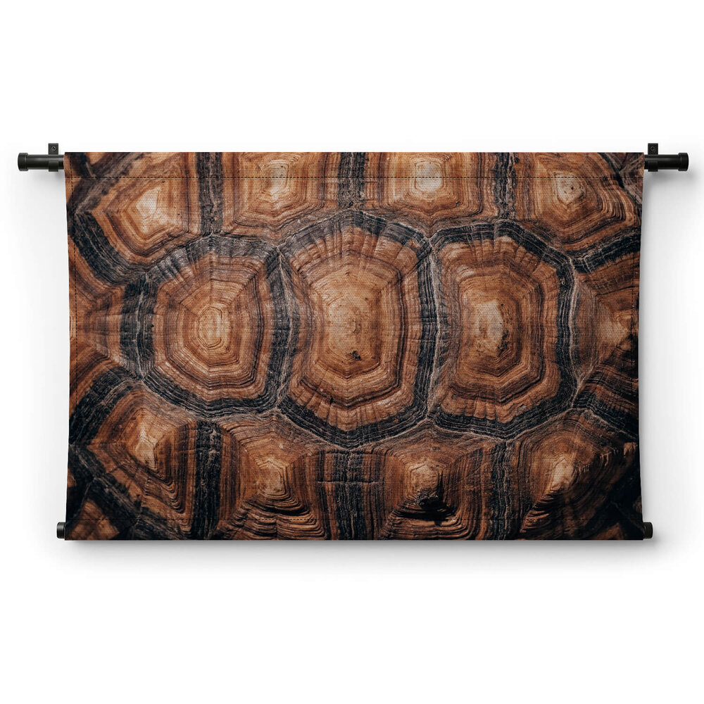 Rugschild van een schildpad