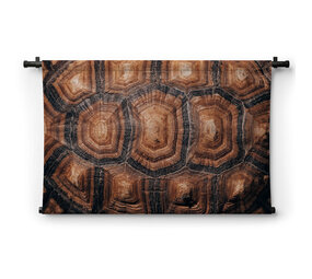 Rugschild van een schildpad