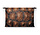 Rugschild van een schildpad