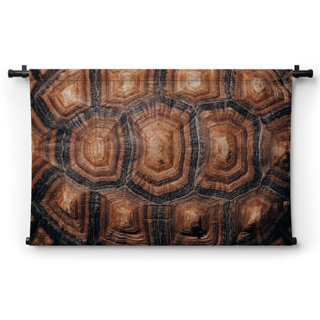 Rugschild van een schildpad