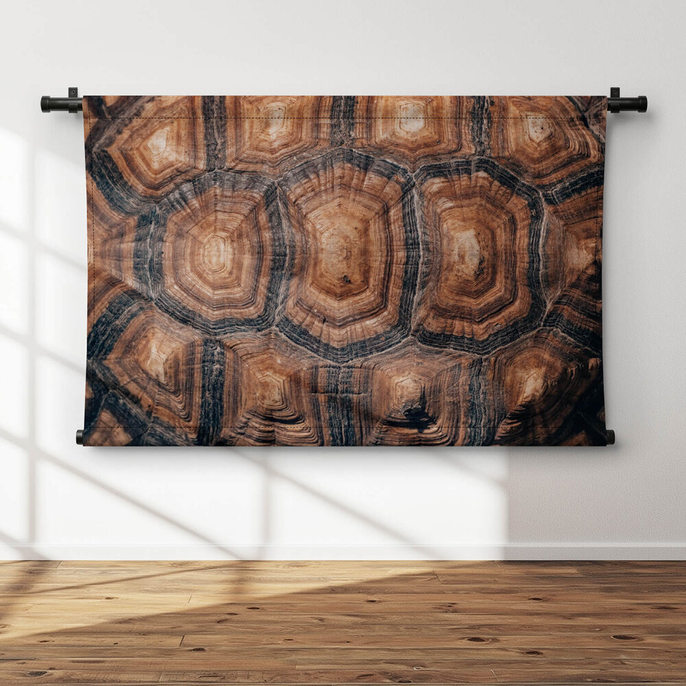 Rugschild van een schildpad
