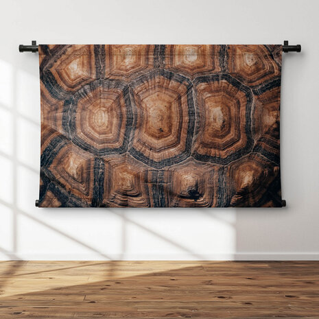 Rugschild van een schildpad