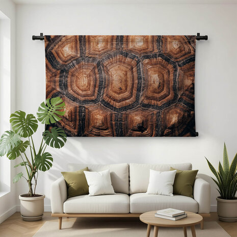 Rugschild van een schildpad