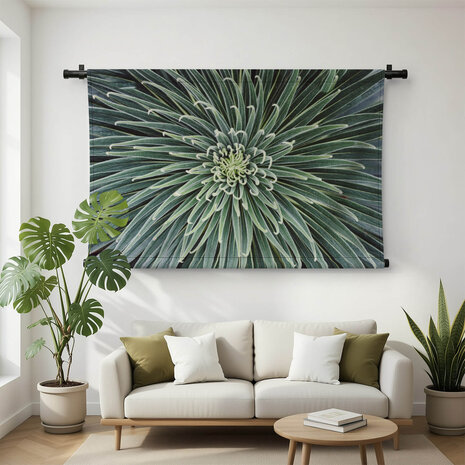 Cactus close-up