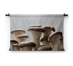 Gedroogde paddenstoelen close-up