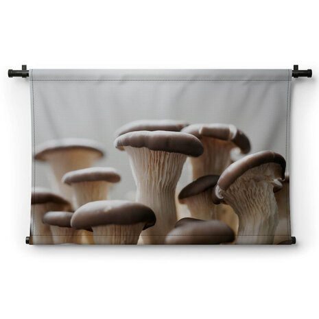 Gedroogde paddenstoelen close-up