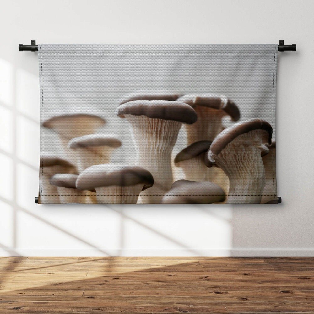 Gedroogde paddenstoelen close-up