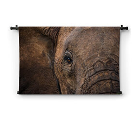 Abstracte close-up Afrikaanse olifant