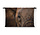 Abstracte close-up Afrikaanse olifant