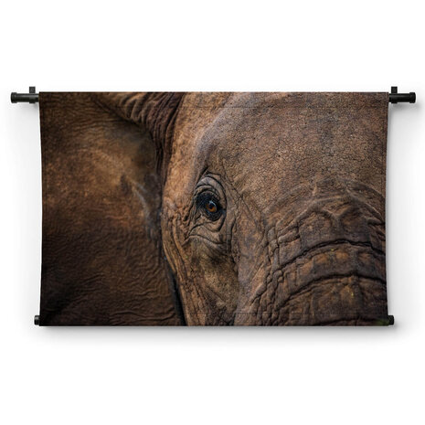 Abstracte close-up Afrikaanse olifant