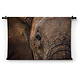 Abstracte close-up Afrikaanse olifant