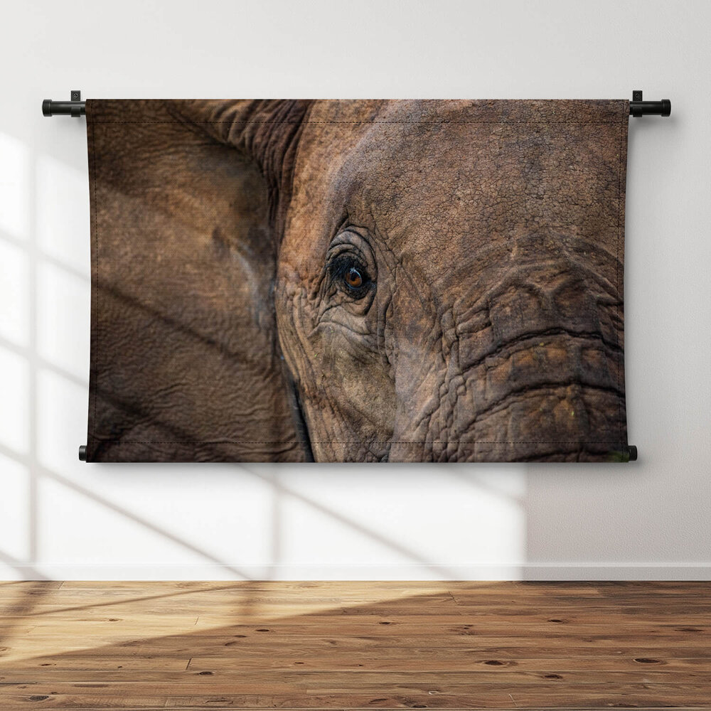 Abstracte close-up Afrikaanse olifant