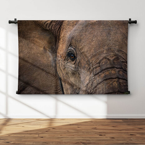 Abstracte close-up Afrikaanse olifant