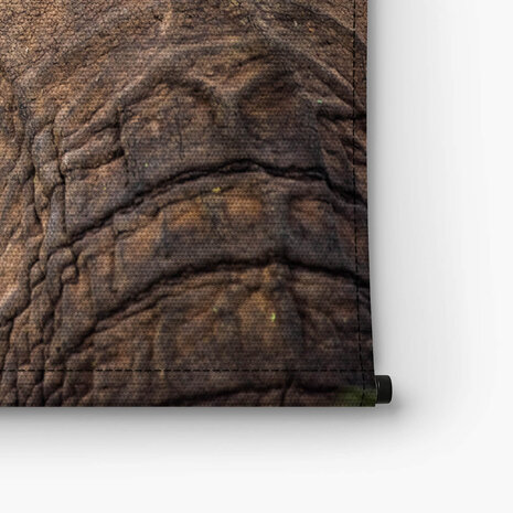 Abstracte close-up Afrikaanse olifant