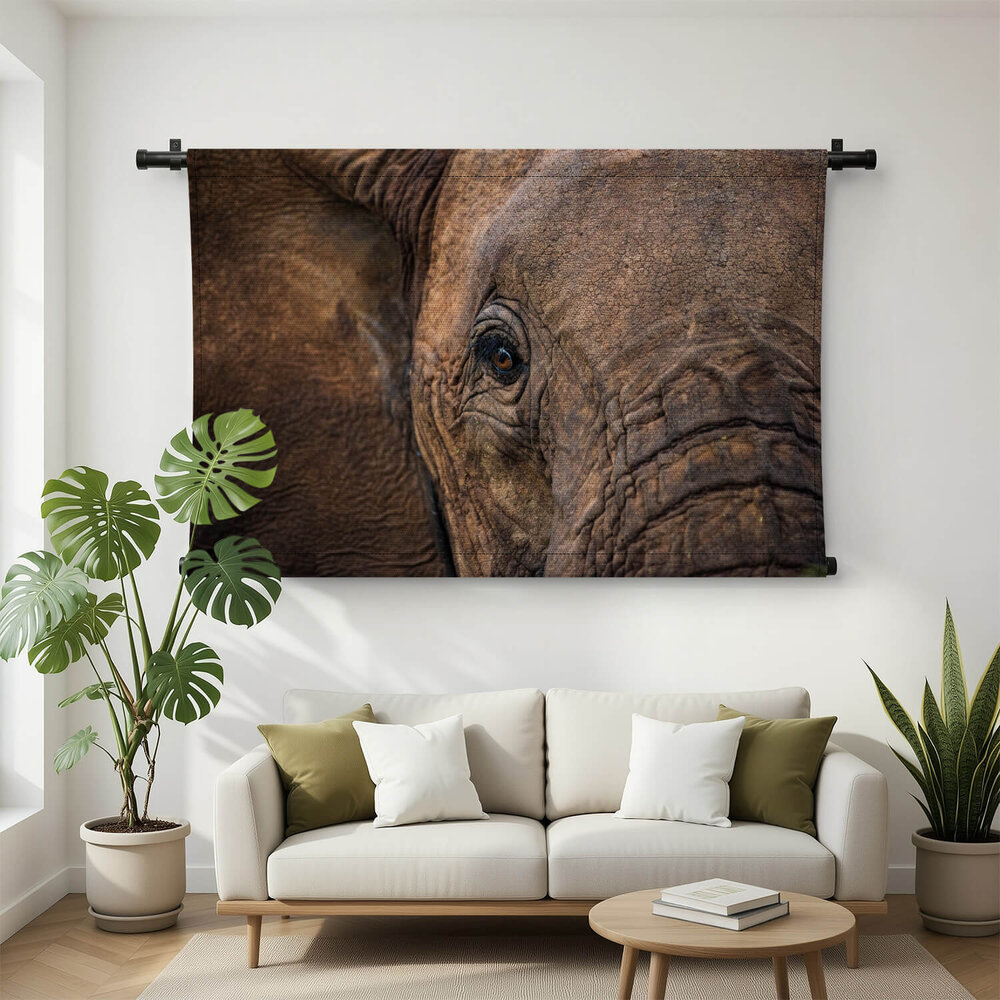 Abstracte close-up Afrikaanse olifant