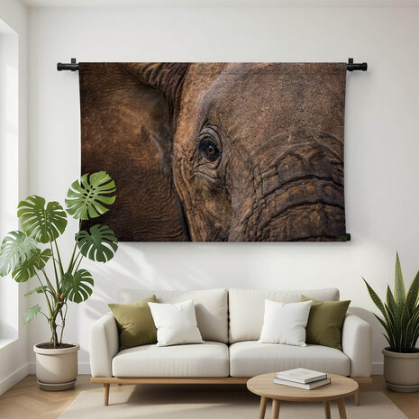 Abstracte close-up Afrikaanse olifant