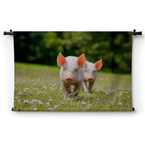 Twee schattige biggetjes
