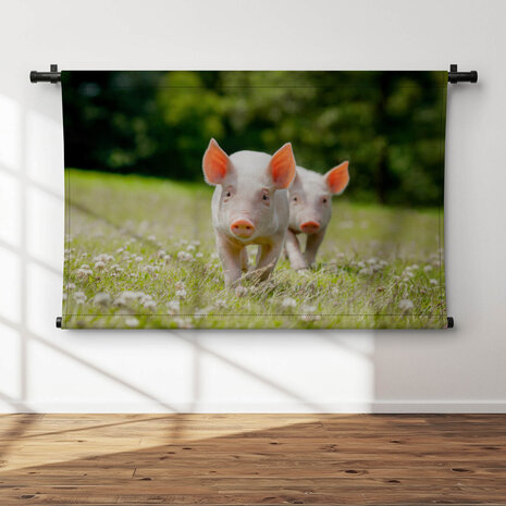Twee schattige biggetjes
