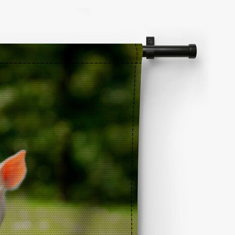 Twee schattige biggetjes