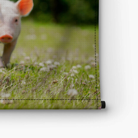 Twee schattige biggetjes