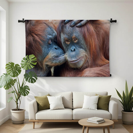 Twee orang-oetans liefkozend