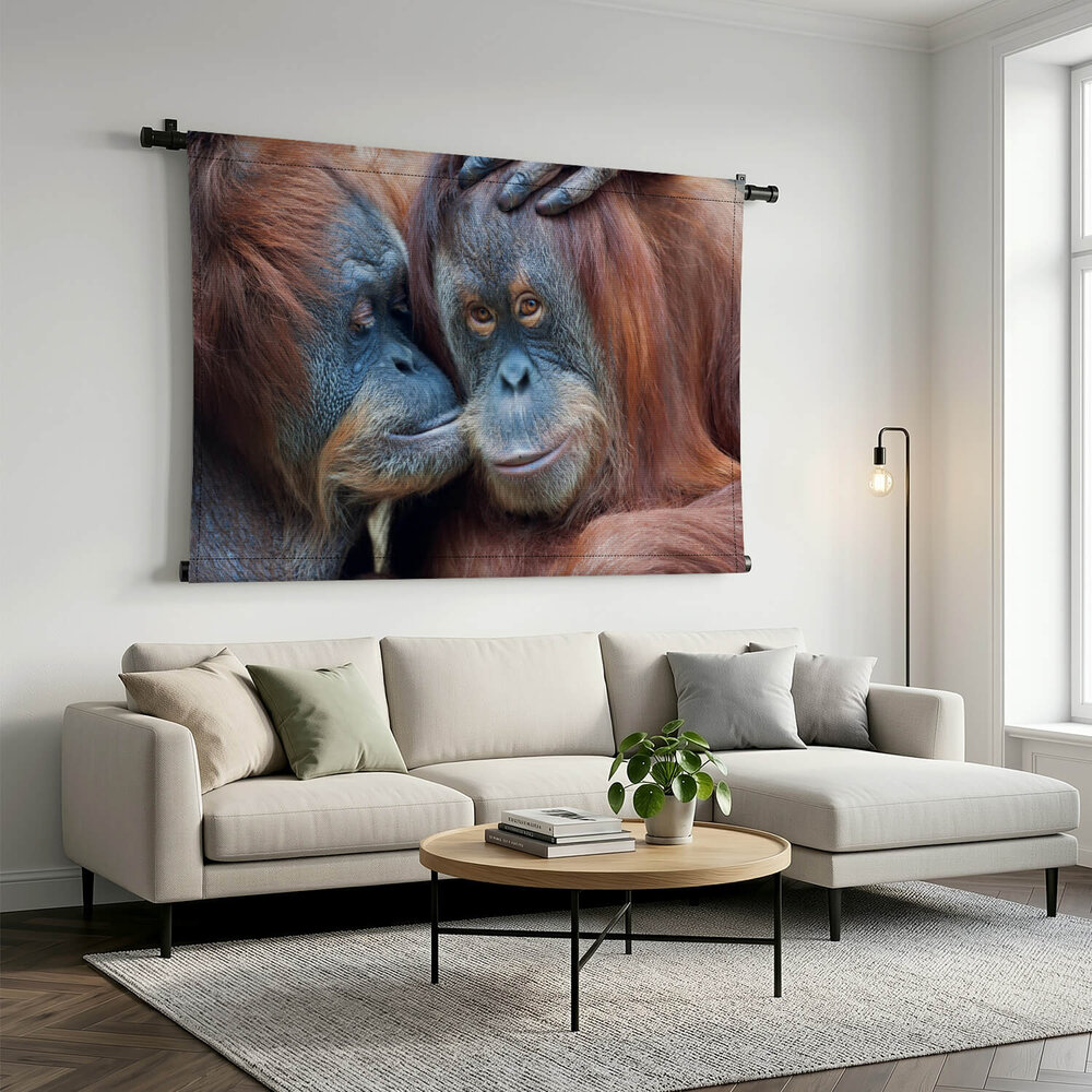 Twee orang-oetans liefkozend