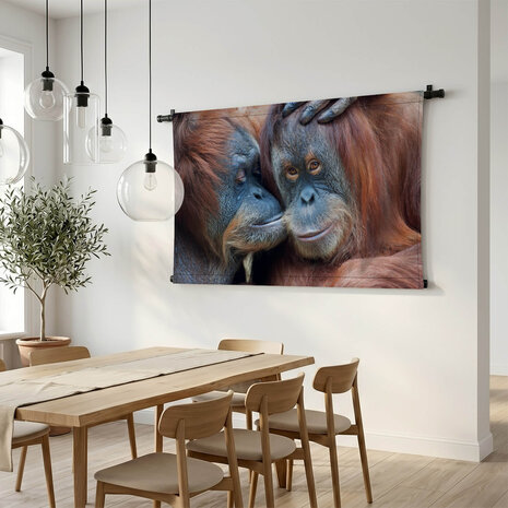 Twee orang-oetans liefkozend