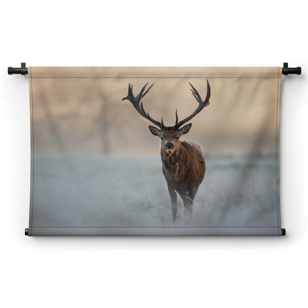 Hert in winters landschap
