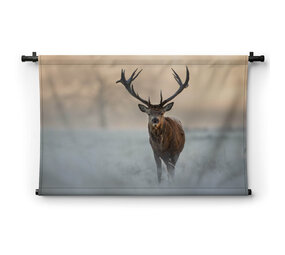 Hert in winters landschap