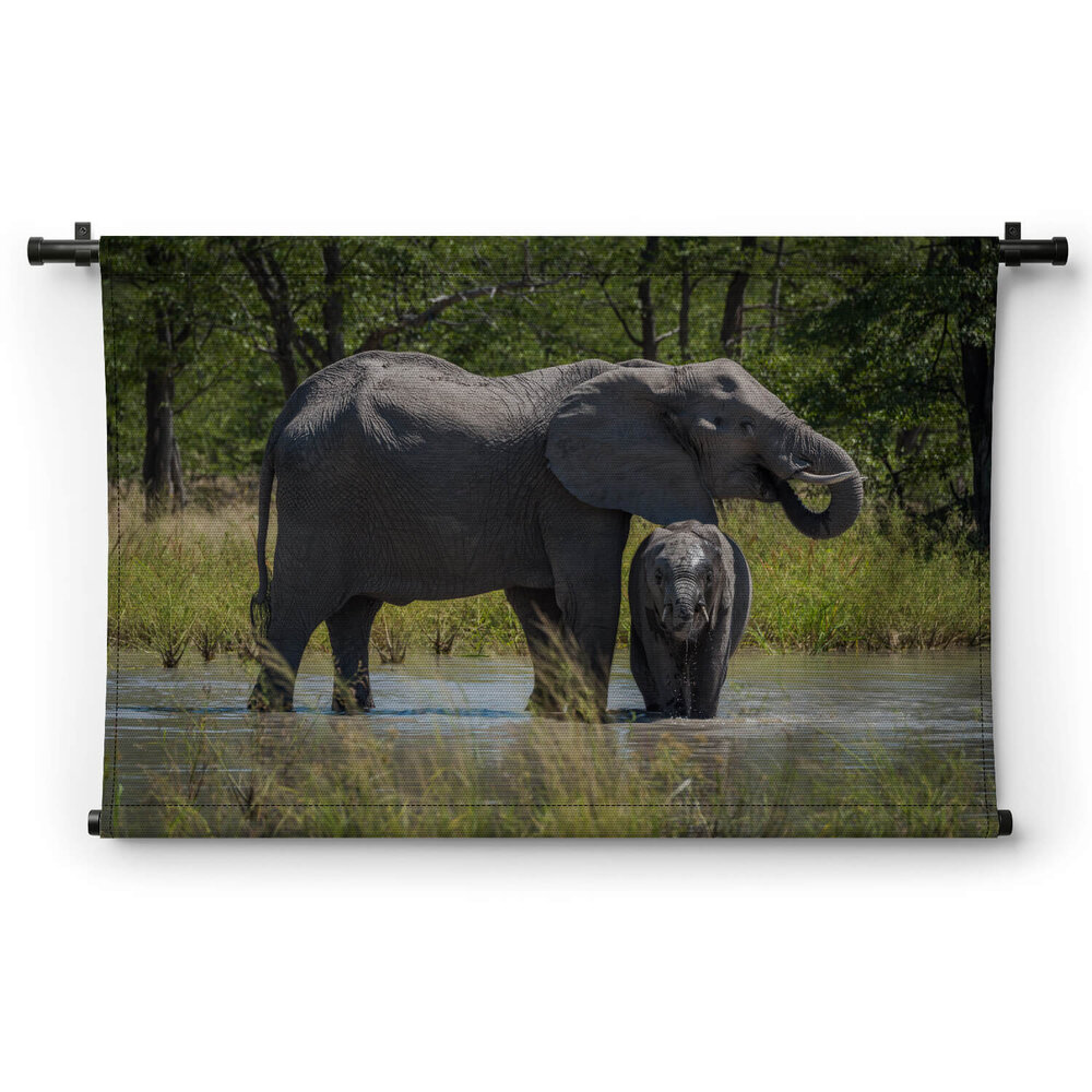 Baby olifant drinkend bij de moeder