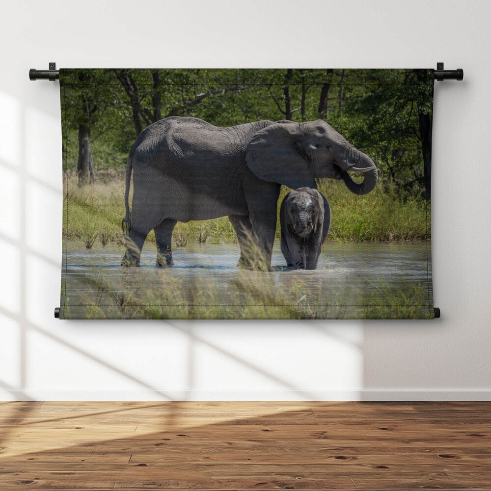 Baby olifant drinkend bij de moeder