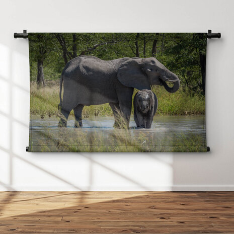 Baby olifant drinkend bij de moeder