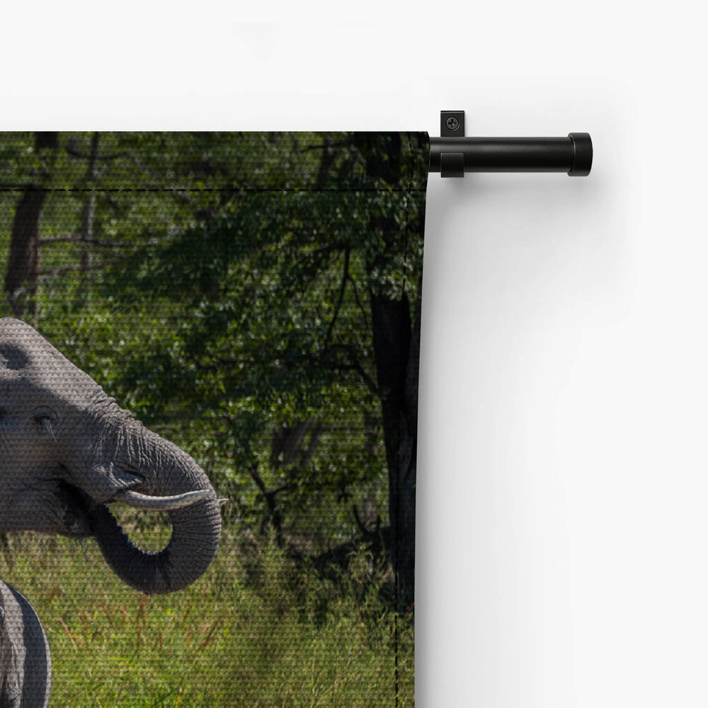 Baby olifant drinkend bij de moeder