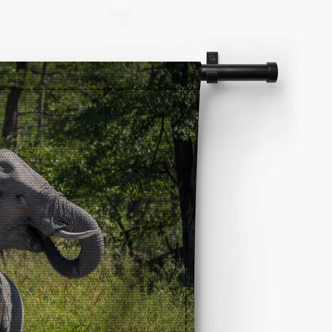 Baby olifant drinkend bij de moeder