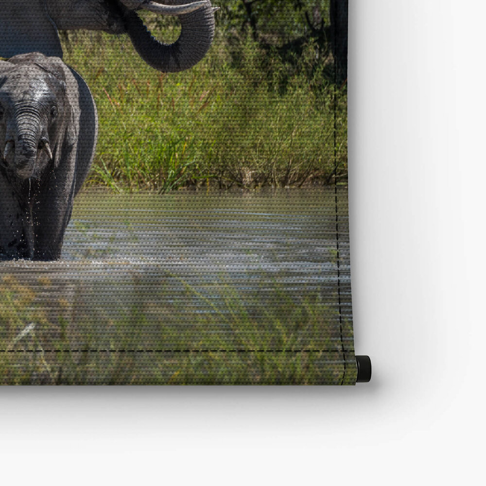 Baby olifant drinkend bij de moeder