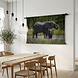 Baby olifant drinkend bij de moeder