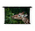Elegante etende giraffe