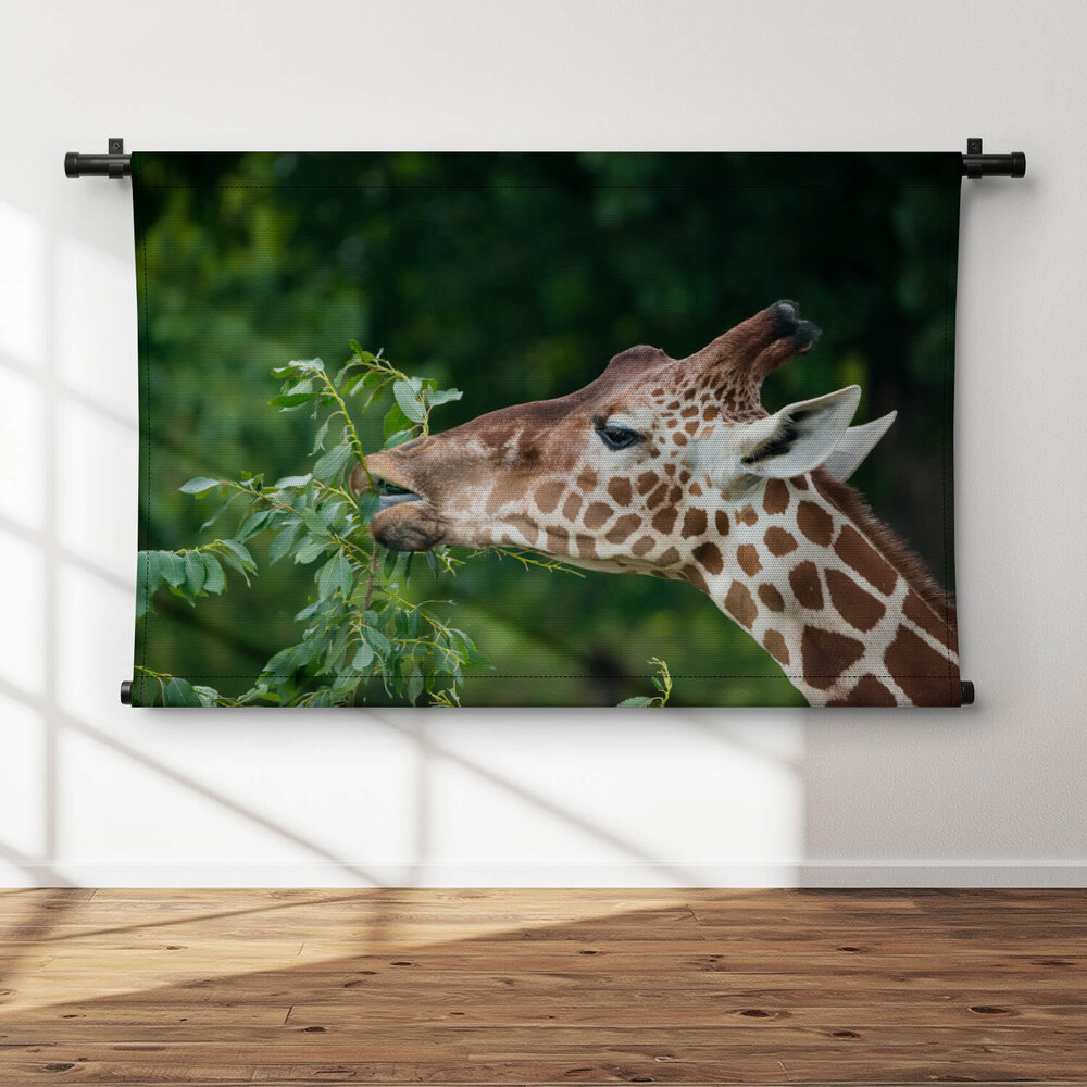 Elegante etende giraffe