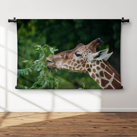 Elegante etende giraffe