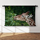 Elegante etende giraffe