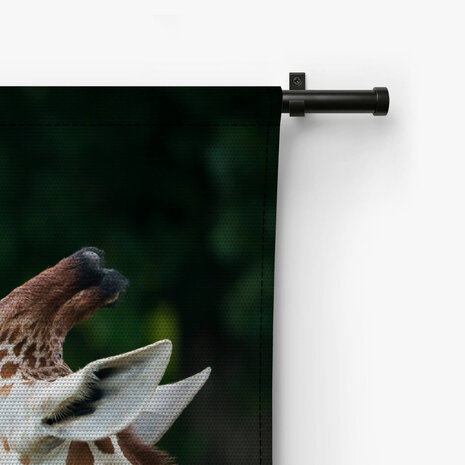 Elegante etende giraffe