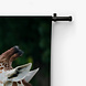 Elegante etende giraffe